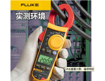 Fluke 305 鉗形表